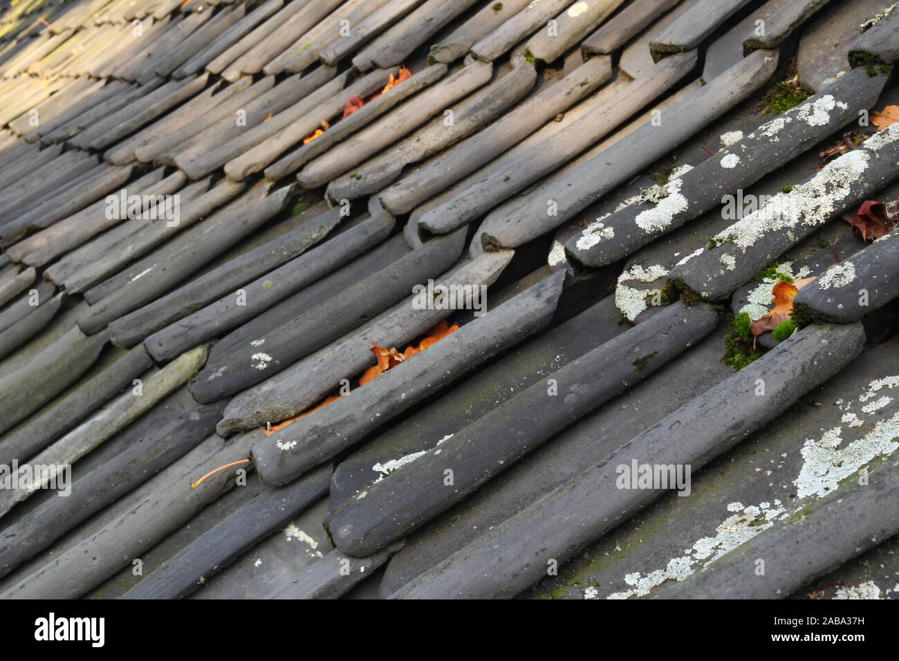 Dachziegel. Sehr alten grauen Dachziegeln auf einem alten Dach im Herbst mit Moos und einige Blätter abgedeckt. Stockfoto