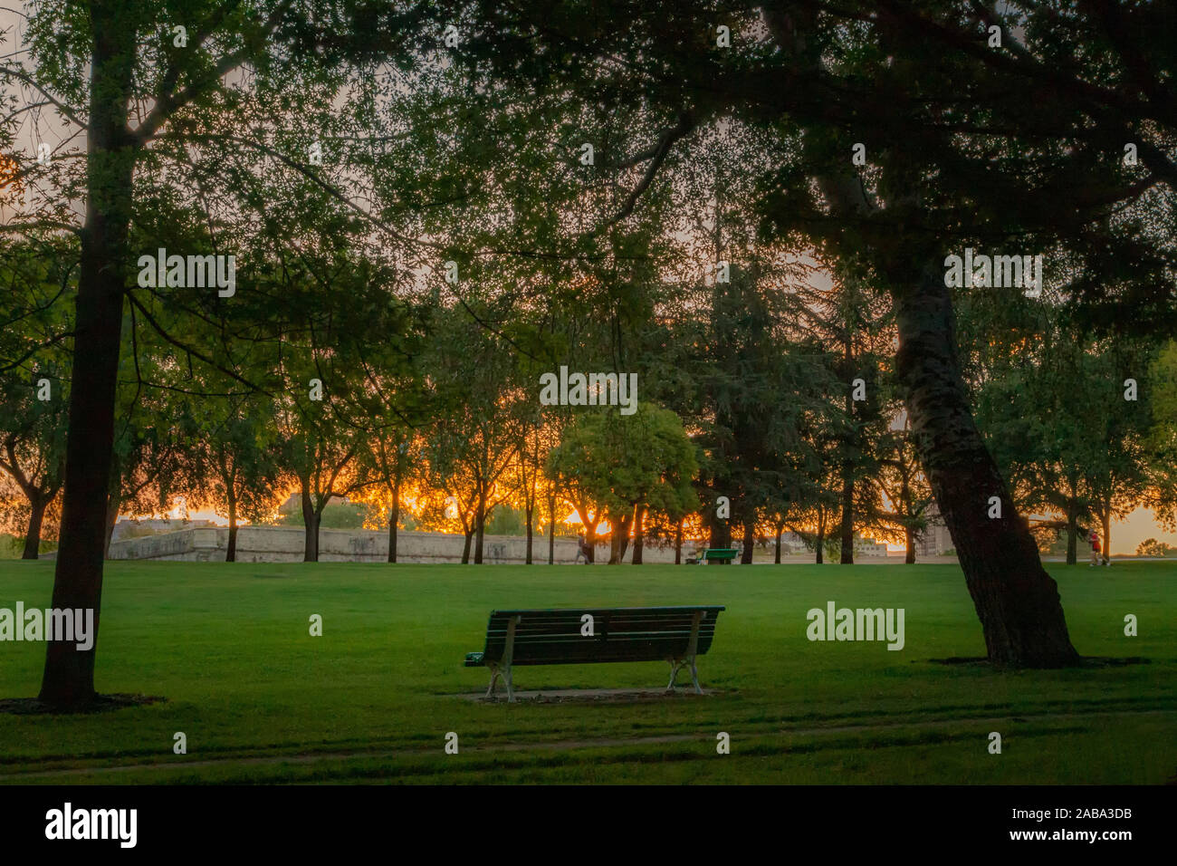 Am frühen Morgen in einem ruhigen Park, leere Parkbank Stockfoto