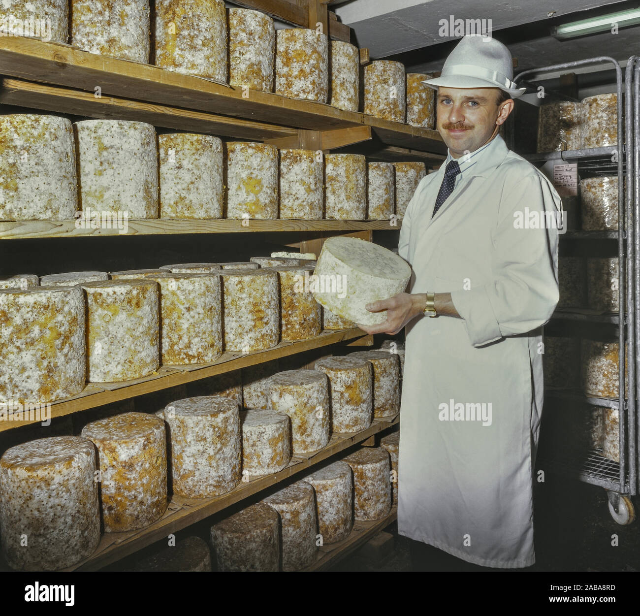 Die Reifung und Reifung Blue Stilton Käse bei Long Clawson Dairy, lange Clawson, Melton Mowbray, Leicestershire, England, UK gespeichert Stockfoto