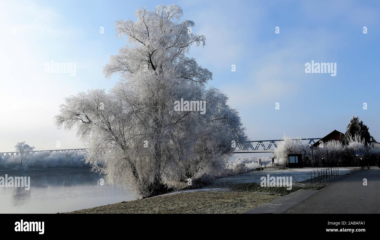 Der erste Frost und Winter brechen! Stockfoto