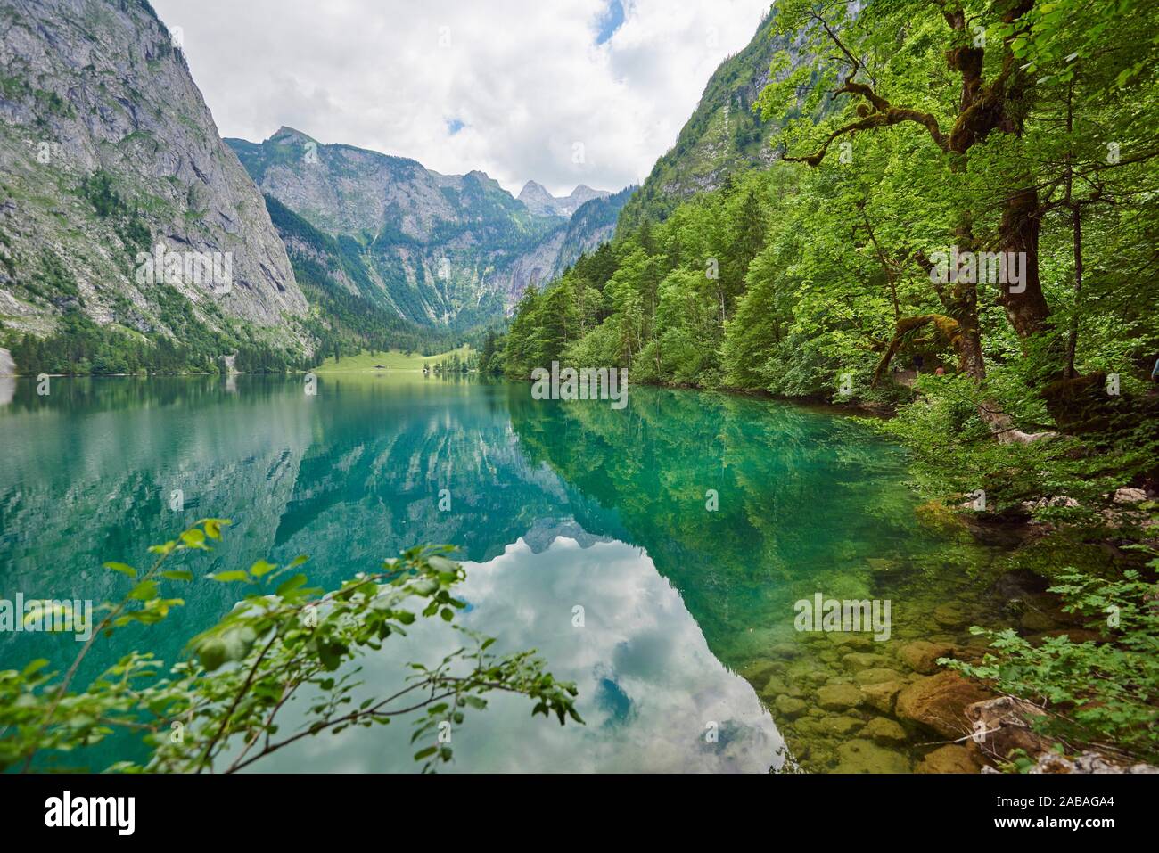 Landschaft der Obersee, Berchtesgadener Land, Bayern, Deutschland, Europa Stockfoto