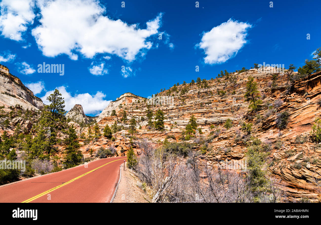 Zion-Mount Carmel Highway in Zion National Park Stockfoto