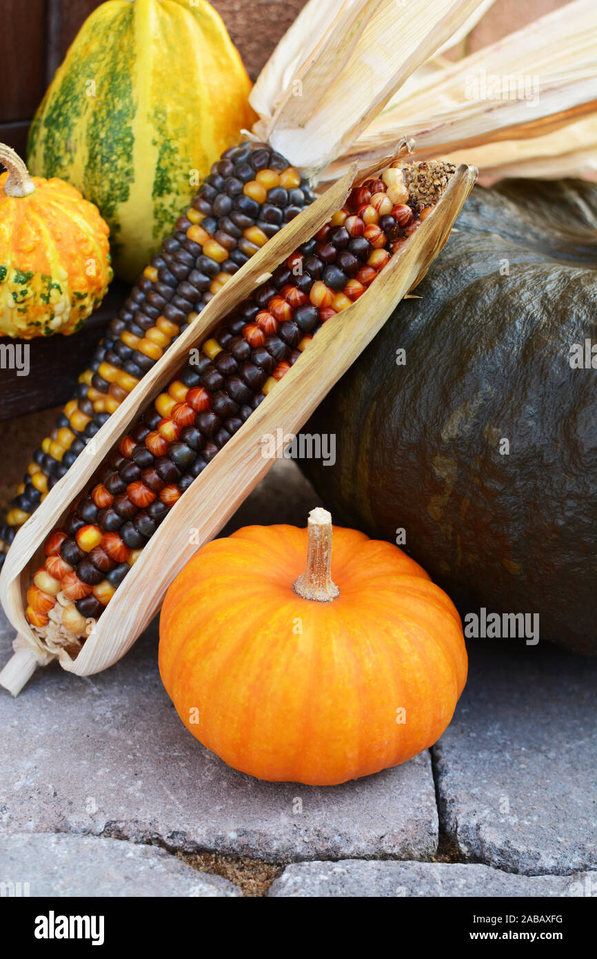 Mini Kürbis mit dekorativen Mais und Kürbisse, wie die saisonale Dekorationen auf einen Stein Schritt Stockfoto