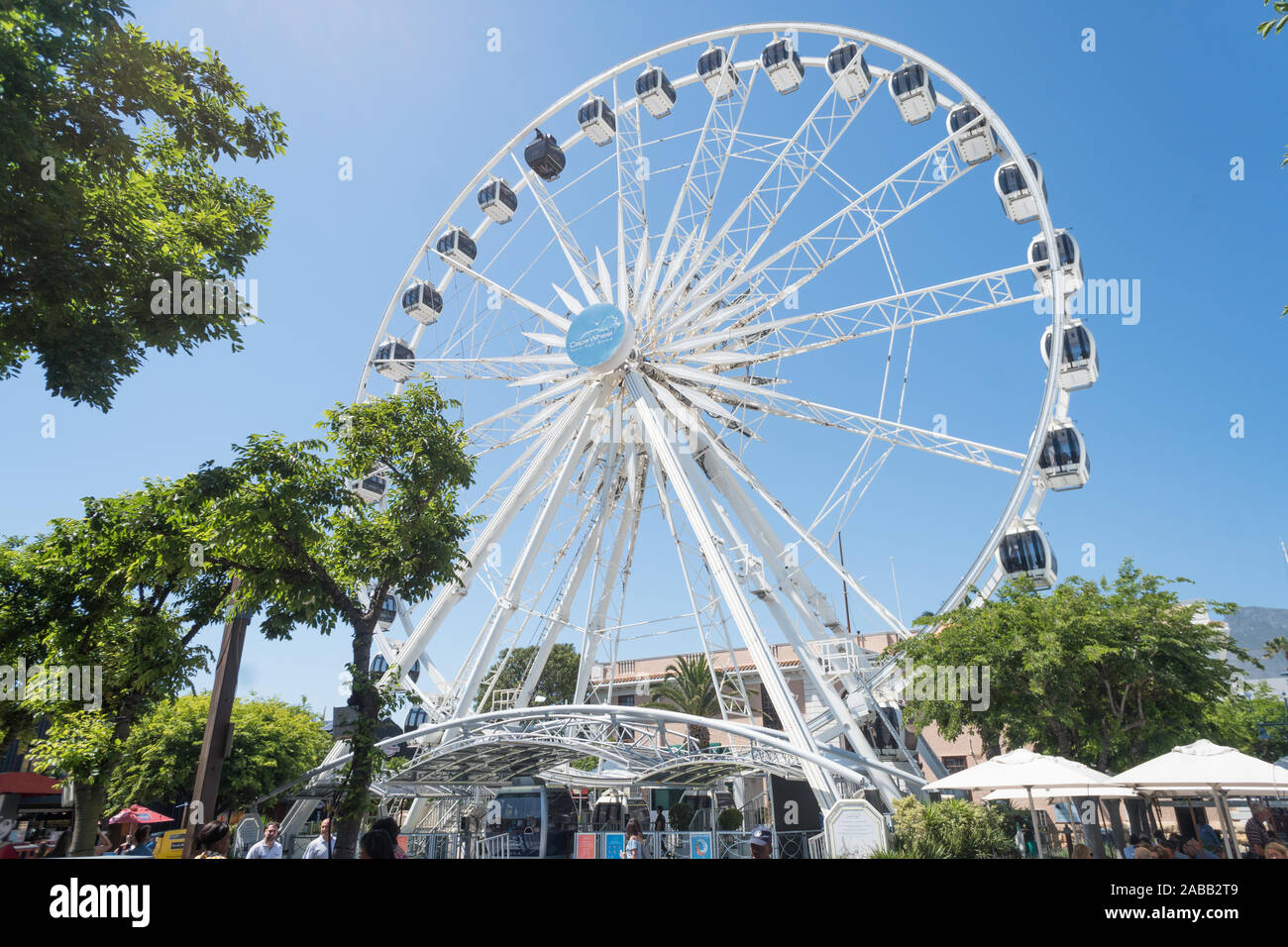 Touristische Attraktion, die Cape Rad enorme Riesenrad oder großes Rad an der V&A Waterfront in Kapstadt, Südafrika im Frühjahr Stockfoto