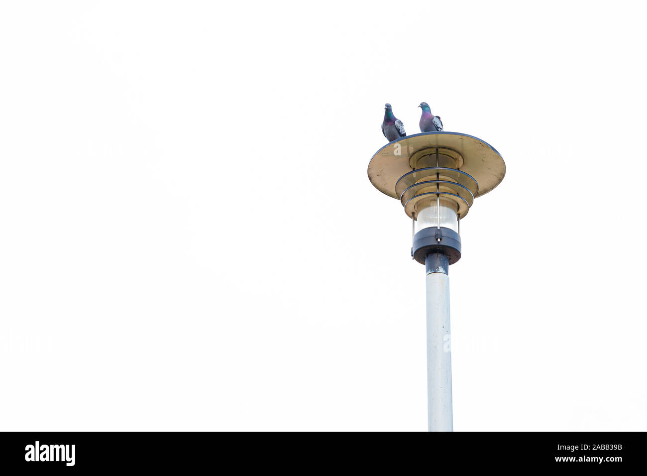 Silhouette einer Straßenlaterne und einen sitzenden Vogel gegen einen weissen Himmel. Zwei Tauben sitzen auf einer strassenlaterne. Stockfoto