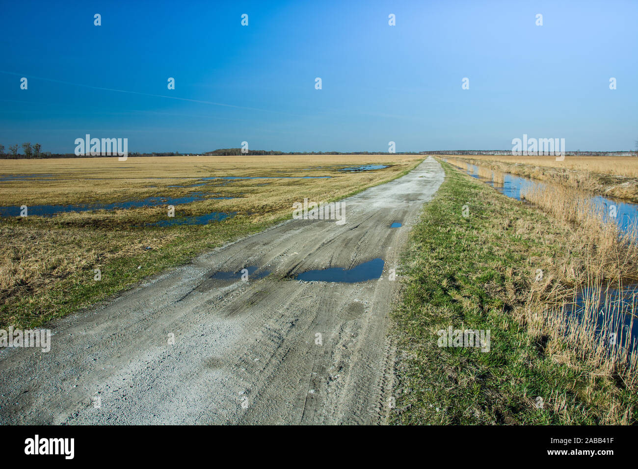 Unbefestigte Straße und Pfützen nach Regen, Horizont und blauer Himmel Stockfoto