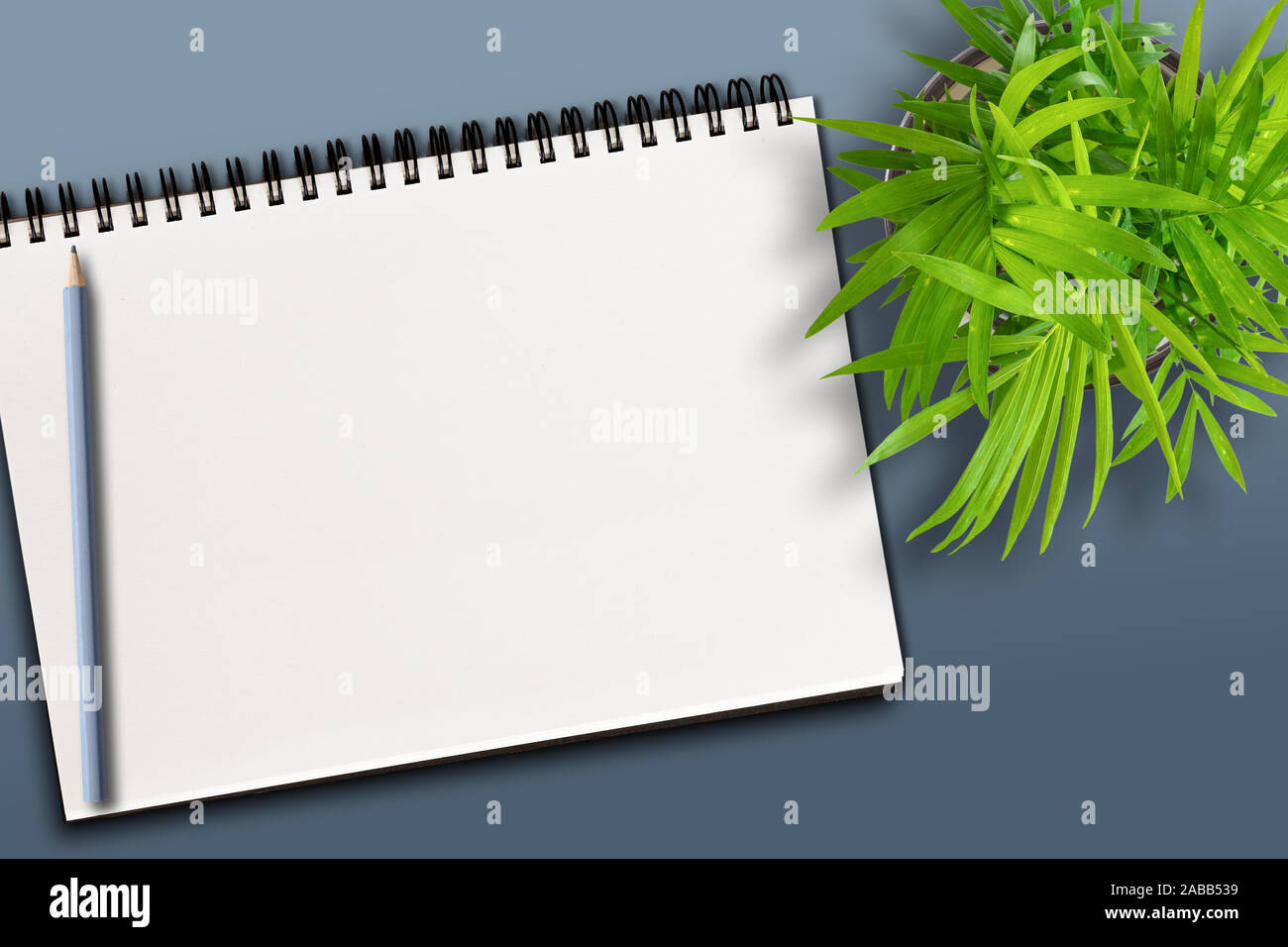 Blick von oben auf die leere Spirale Notizblock und Bleistift auf bläulichen Hintergrund mit Topfpflanzen Stockfoto