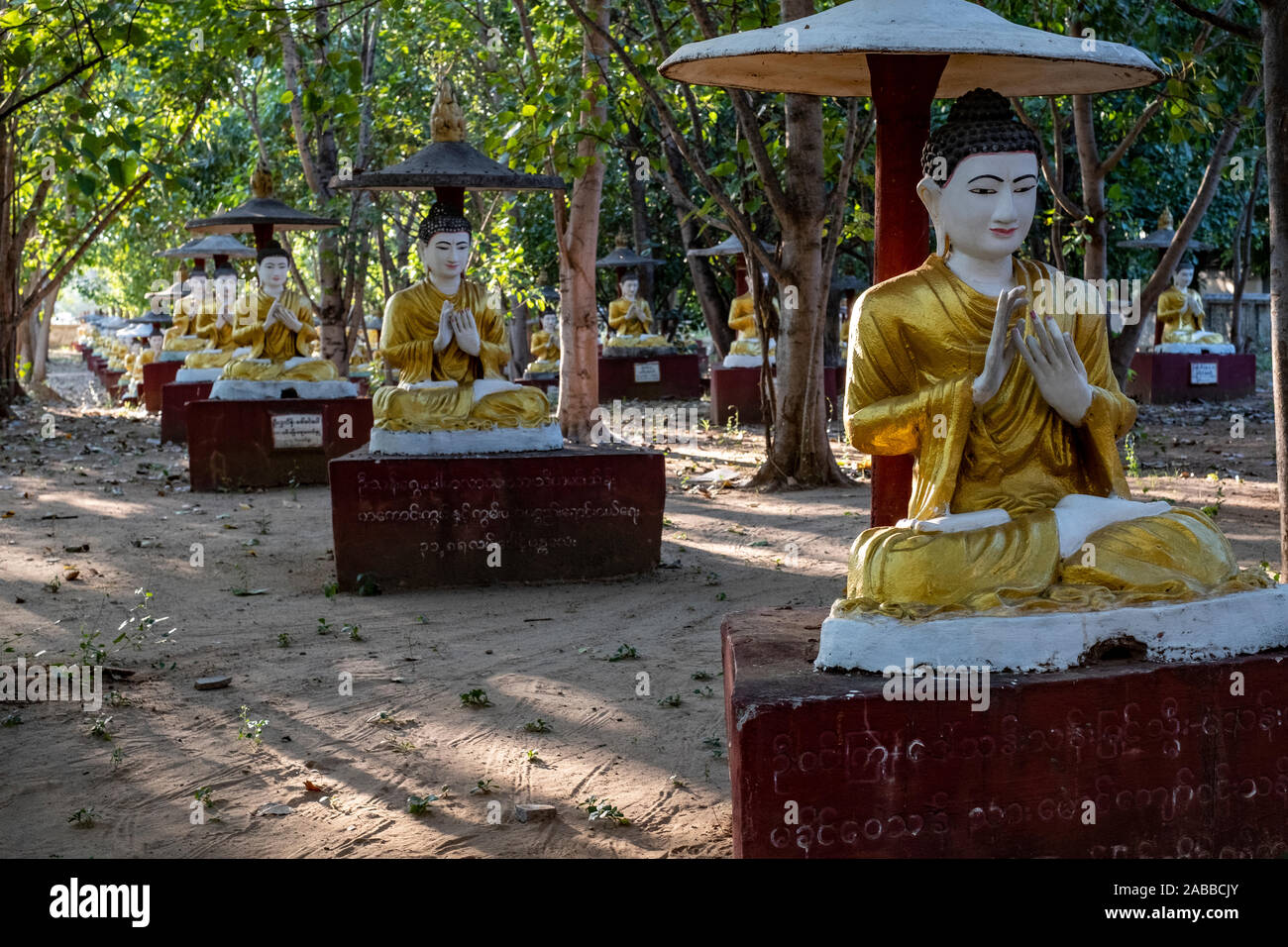 Maha Bodhi Tahtaung, einem buddhistischen Heiligen Ort berühmt für seine Tausende von Buddha-statuen in Ehrfurcht Haltungen unter Bo Bäume in Monywa, Myanmar Stockfoto