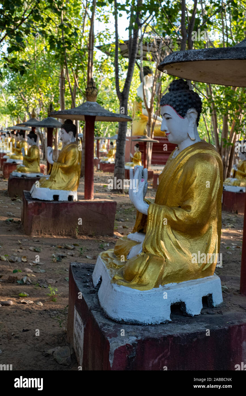 Maha Bodhi Tahtaung, einem buddhistischen Heiligen Ort berühmt für seine Tausende von Buddha-statuen in Ehrfurcht Haltungen unter Bo Bäume in Monywa, Myanmar Stockfoto