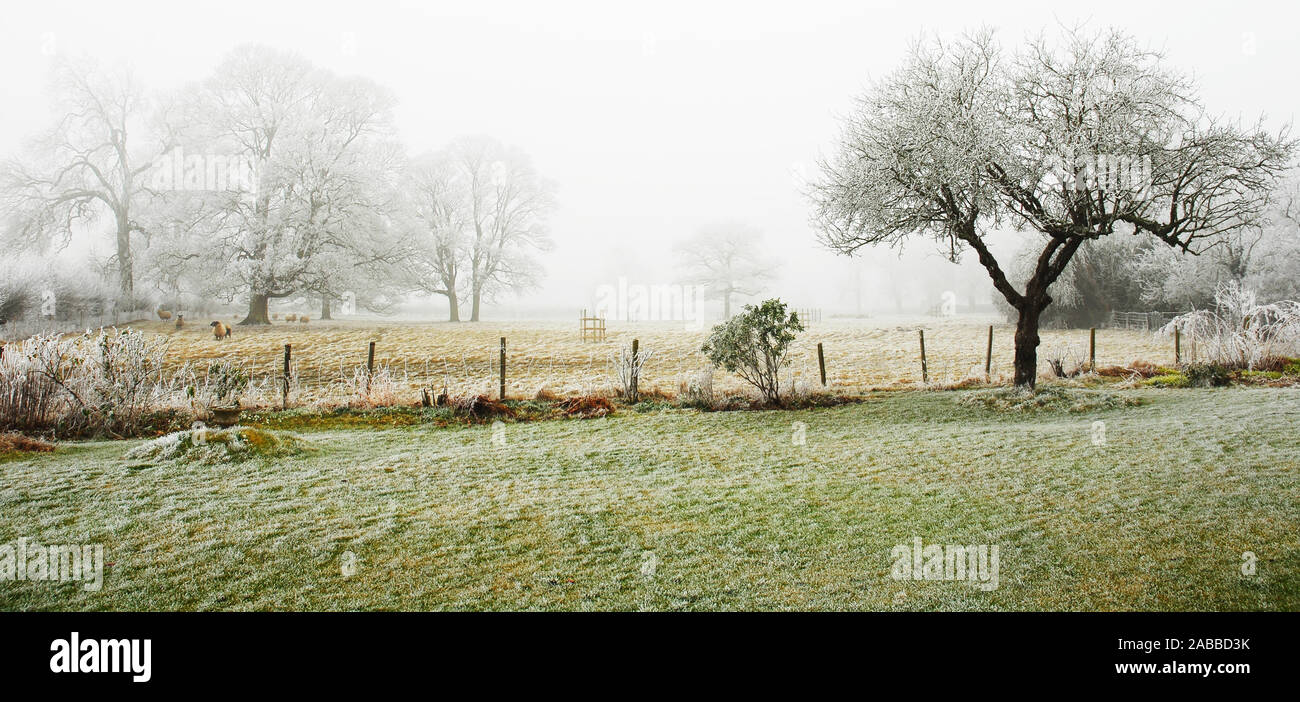 Misty Ansicht des Glebe Feld aus dem frosted Garten im Winter im Februar Stockfoto