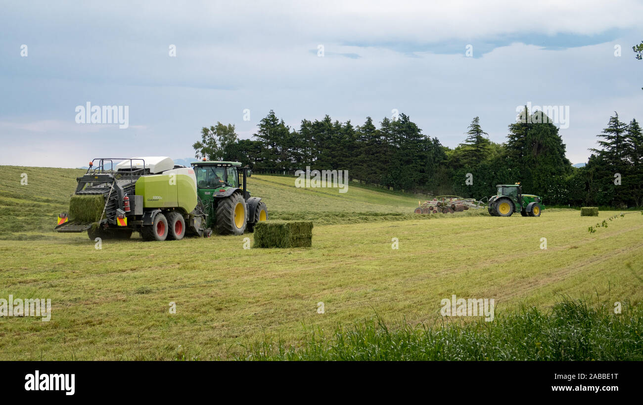 Kirwee, Canterbury, Neuseeland, 26. November 2019: Landwirtschaftliche Maschinen bei der Arbeit frisch gemähten Gras Rechen für Winter Materialzuführung Ballen gepresst werden müssen Stockfoto