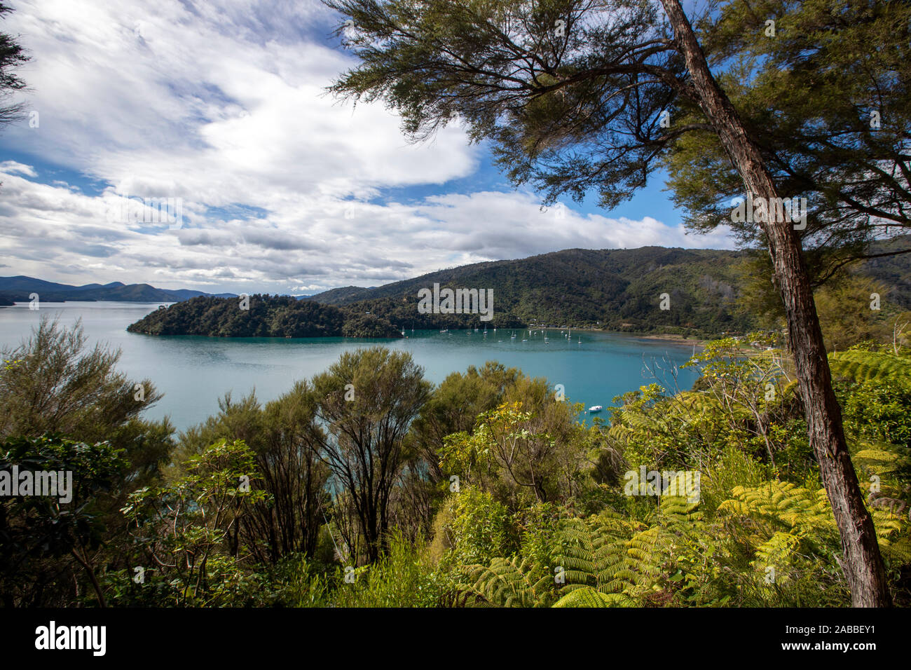Link Weg, Marlborough, Neuseeland Stockfoto