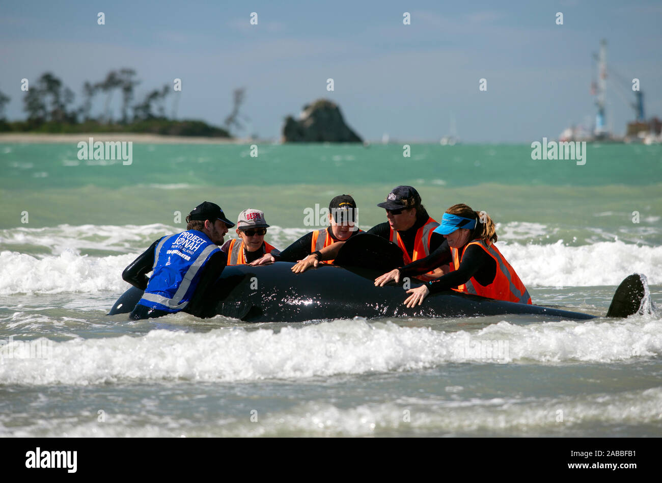 Projekt Jona Schulung, Nelson, Neuseeland Stockfoto