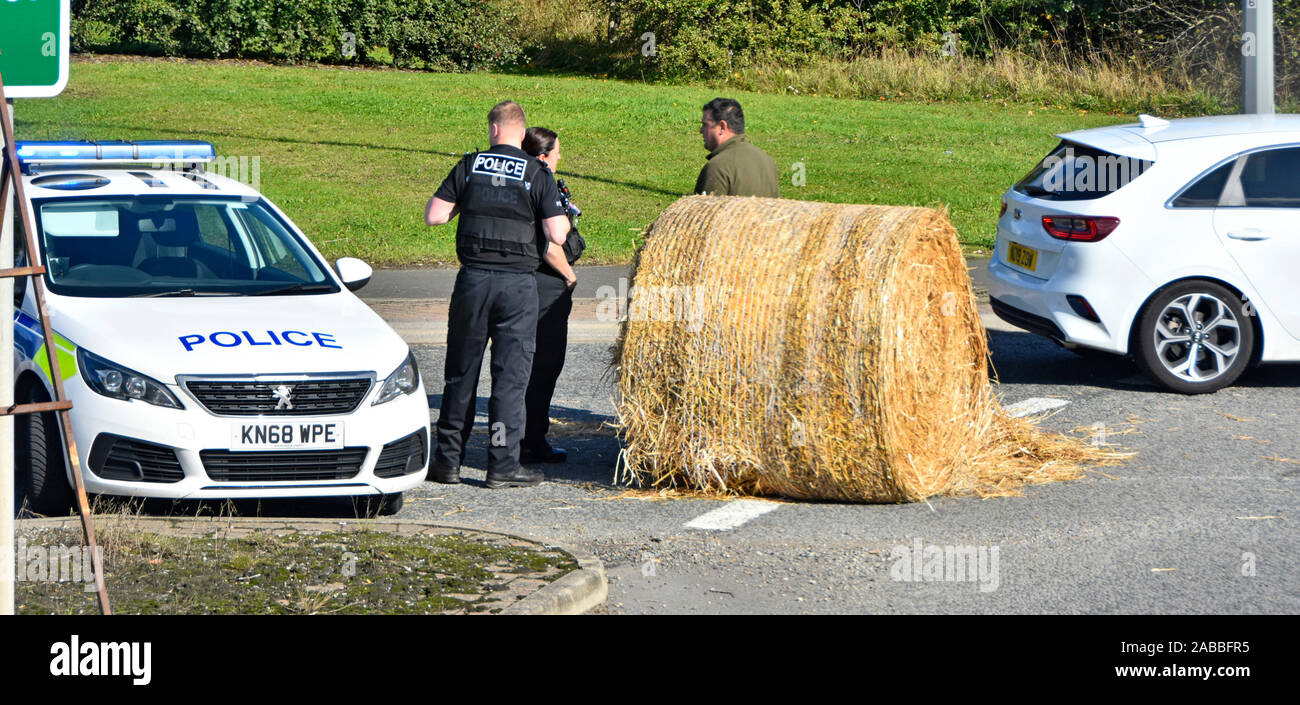 Polizistin und Polizist Offiziere besuchen in Polizei Streifenwagen Stroh ballen in der Straße Vorfall eine 689 Kreisverkehr Rushyford County Durham England UK (siehe Info) Stockfoto