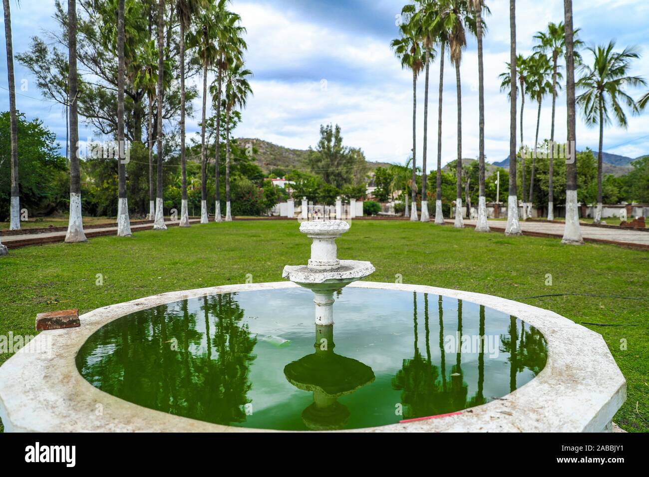 Las Delicias aufgegeben Hacienda in die zauberhafte Stadt Alamos, Sonora Mexico. Haus der Köstlichkeiten. Bauernhof, Architektur. Im italienischen Stil, italienischer Architektur. Die zauberhafte Stadt Alamos, Sonora, Mexiko. Touristen, Tourismus, © (© Foto: LuisGutierrez/abandonada NortePhoto.com) Hacienda Las Delicias en el Pueblo Magico de Alamos, Sonora Mexico. Casa de Las Delicias. Finca, Arquitectura. Estilo italiano, arquitectrura Italiana. El Pueblo Mágico Alamos, Sonora, Mexiko. Turista, Turismo, © (© Foto: LuisGutierrez/NortePhoto.com) Stockfoto