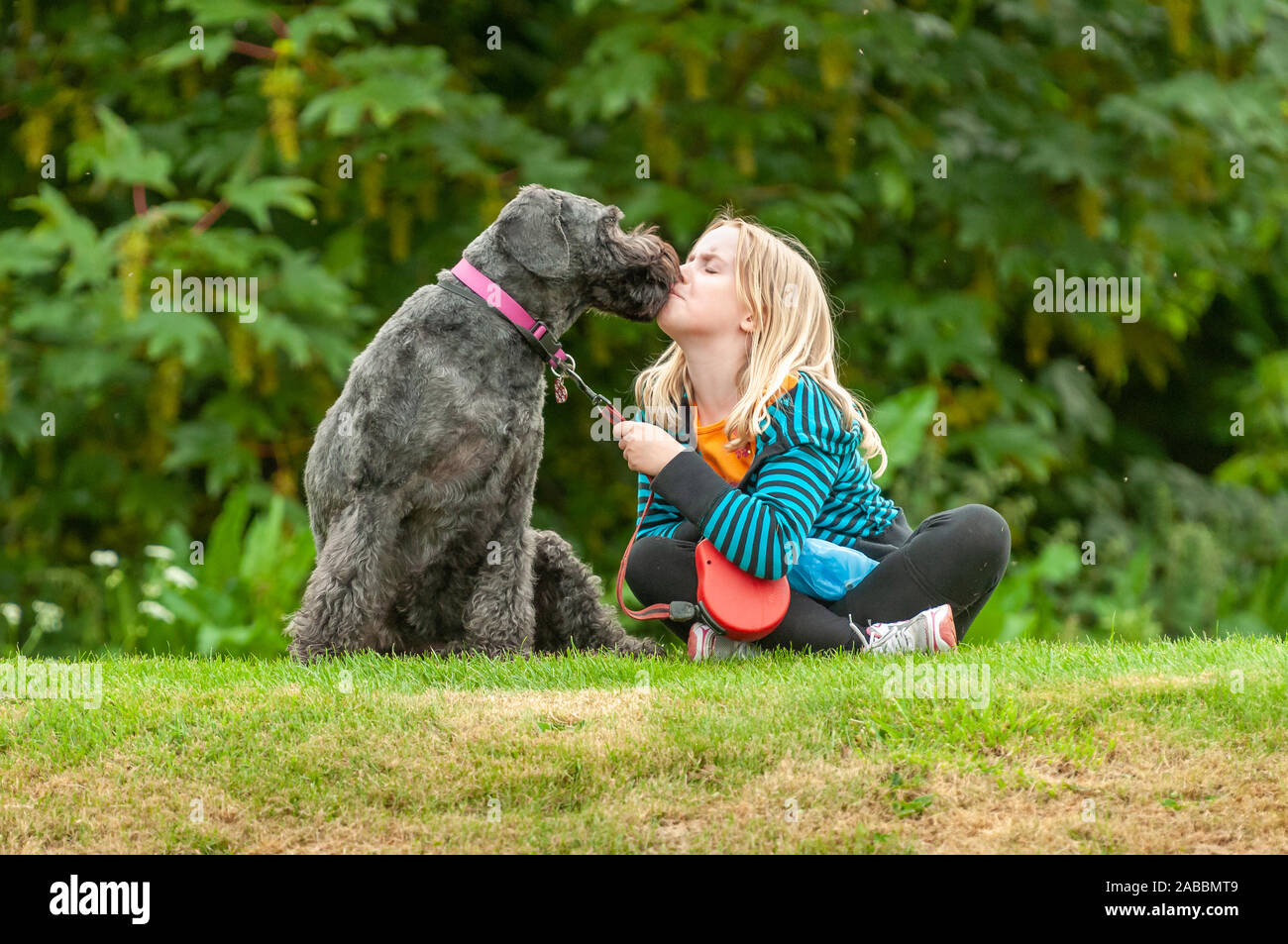 Junge blonde Mädchen küsste ihre schwarzen labradoodle Hund beim Sitzen im Schneidersitz auf Gras und halten Sie den Hund an der Leine Stockfoto