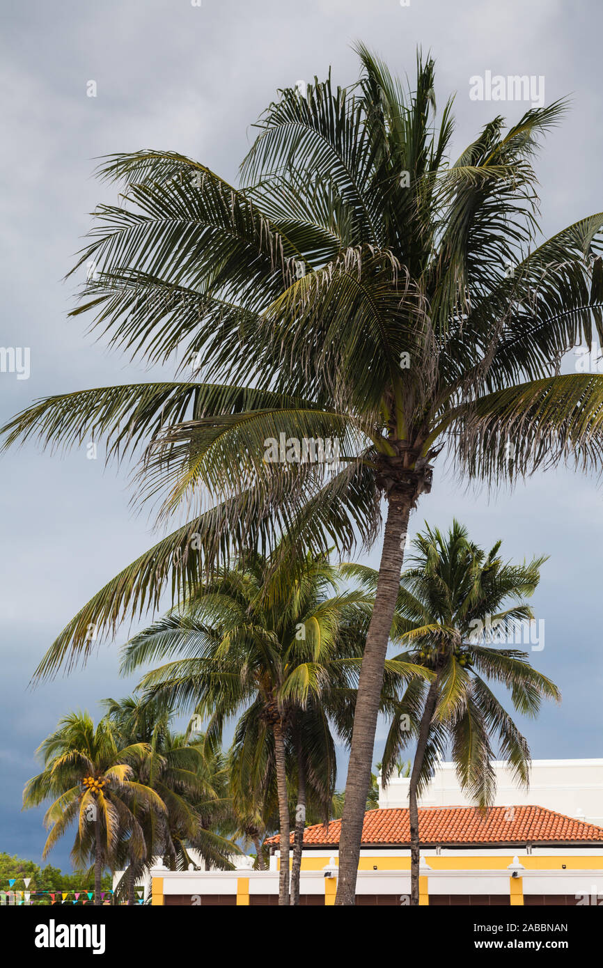 Bewölkter Himmel über ein luxuriöses Resort an der Riviera Maya auf der Halbinsel Yucatan in Mexiko Stockfoto