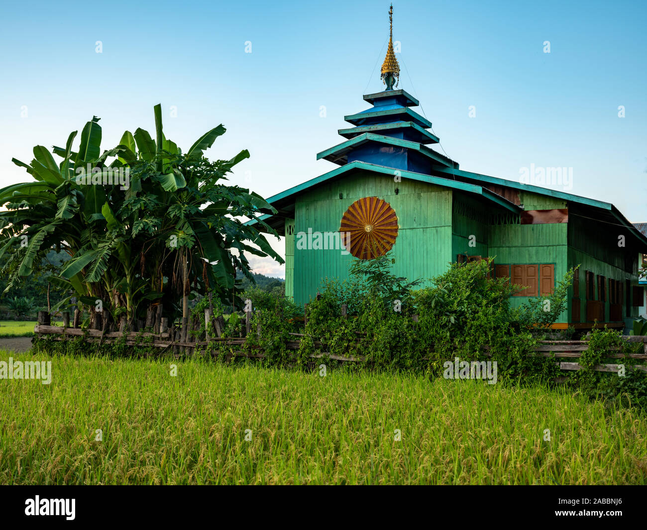 Bunte buddhistische Kloster lackiert in Blau und Türkis mit Pagodendach inmitten von Reisfeldern in den Chindwin River Village von KoneGyi, Myanmar (Birma) Stockfoto