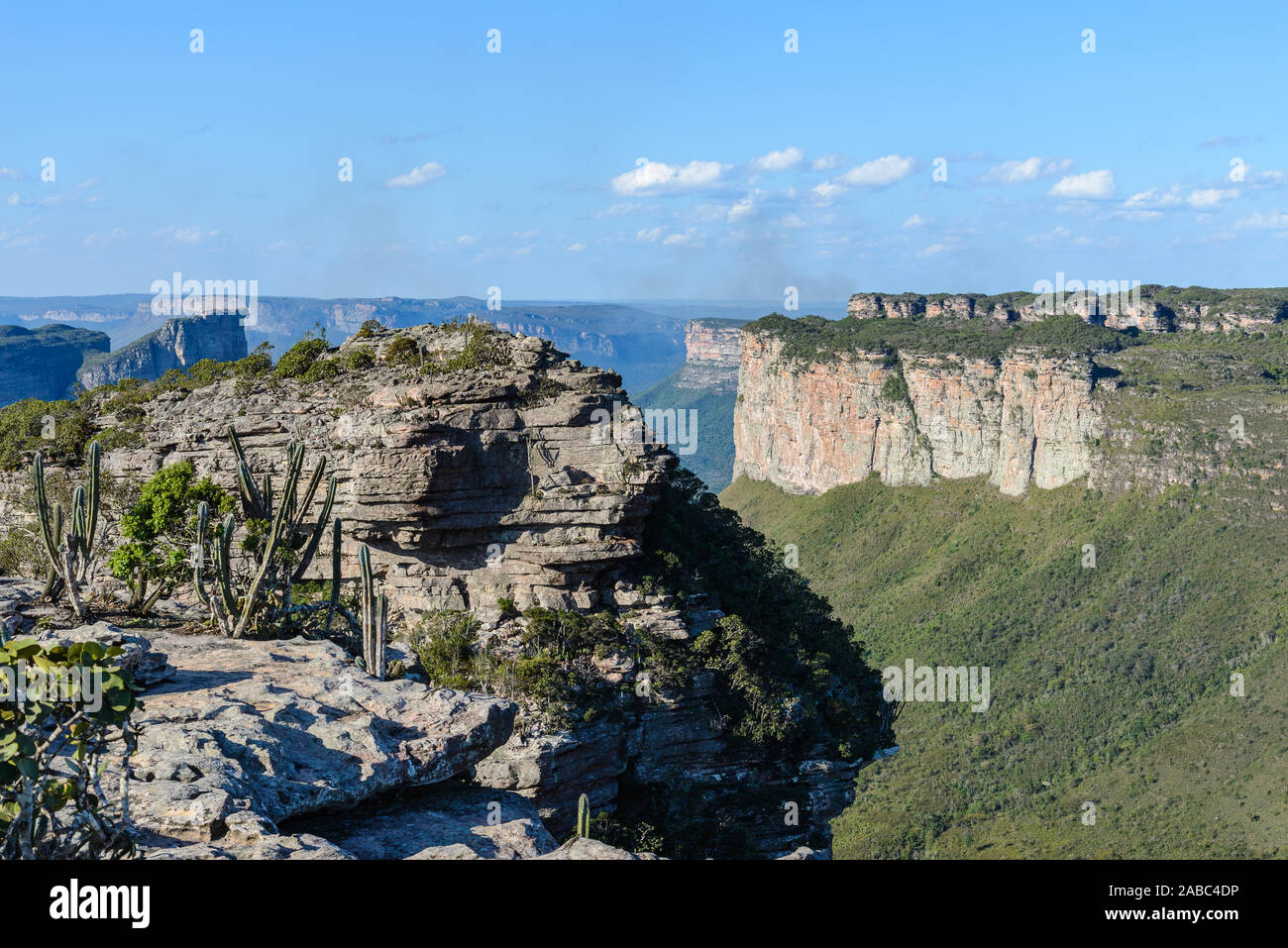 Cerrado Landschaft der Chapada Diamantina Nationalpark (Parque Nacional de Chapada Diamantina). Lencois, Bahia, Brasilien. Stockfoto