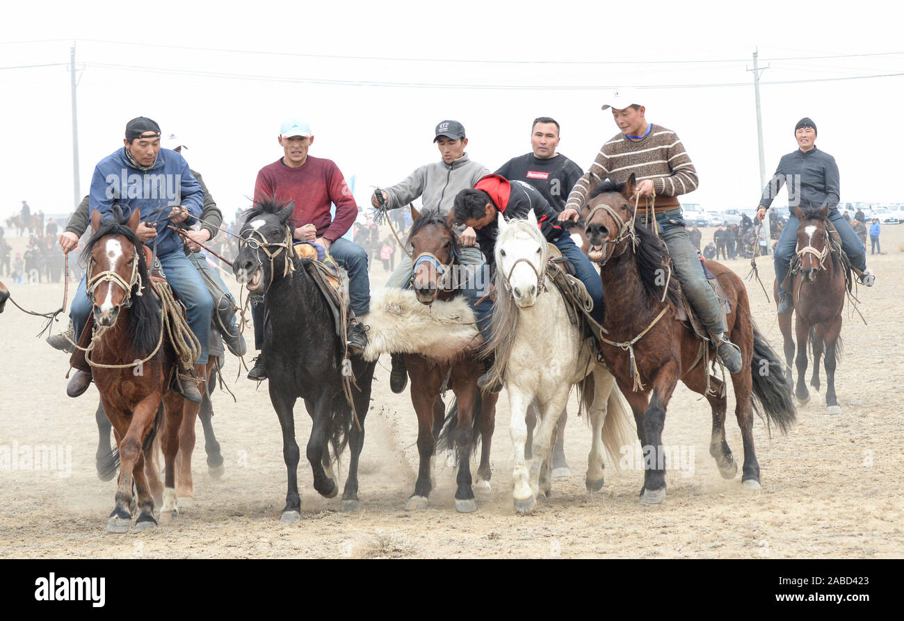 Reiter Rennen Pferde an den Sport Spiel in Altay Stadt, nord-westlich von China Autonome Region Xinjiang Uygur, 27. Oktober 2019. Stockfoto