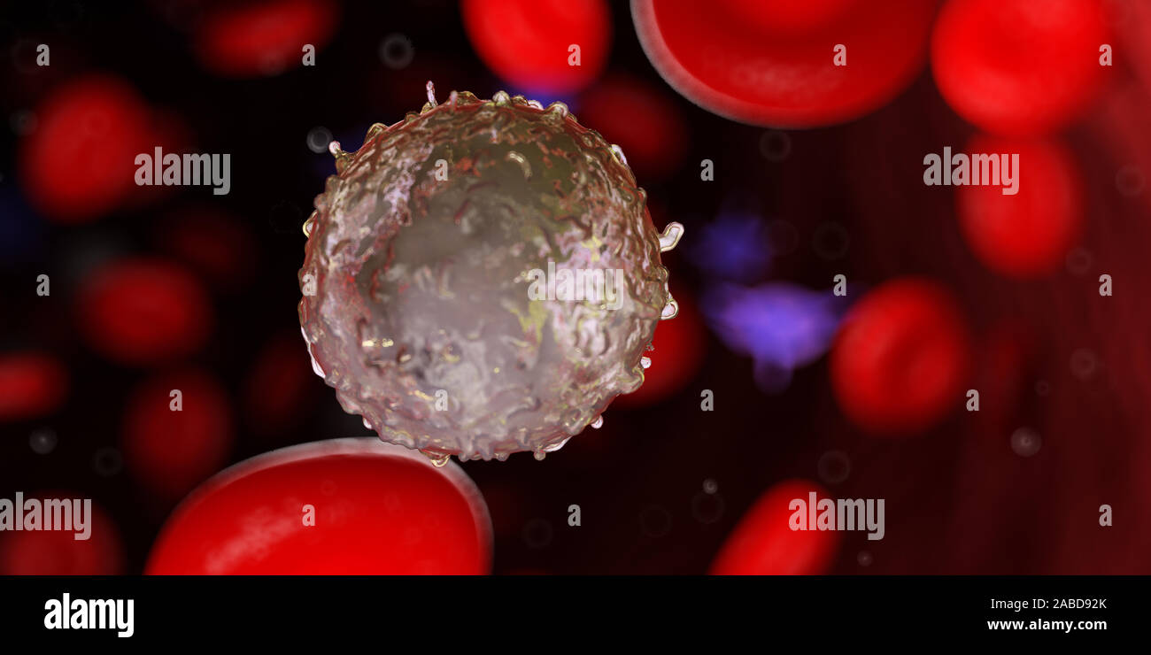 3D-gerenderte Medizinisch genaue Abbildung eines weißen Blutkörperchen Stockfoto