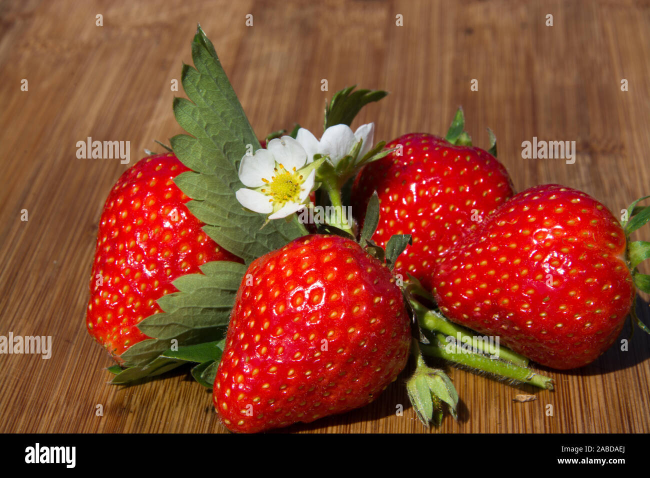 Erdbeeren, Dekoration, Fragaria, Rosengewaechs Stockfoto