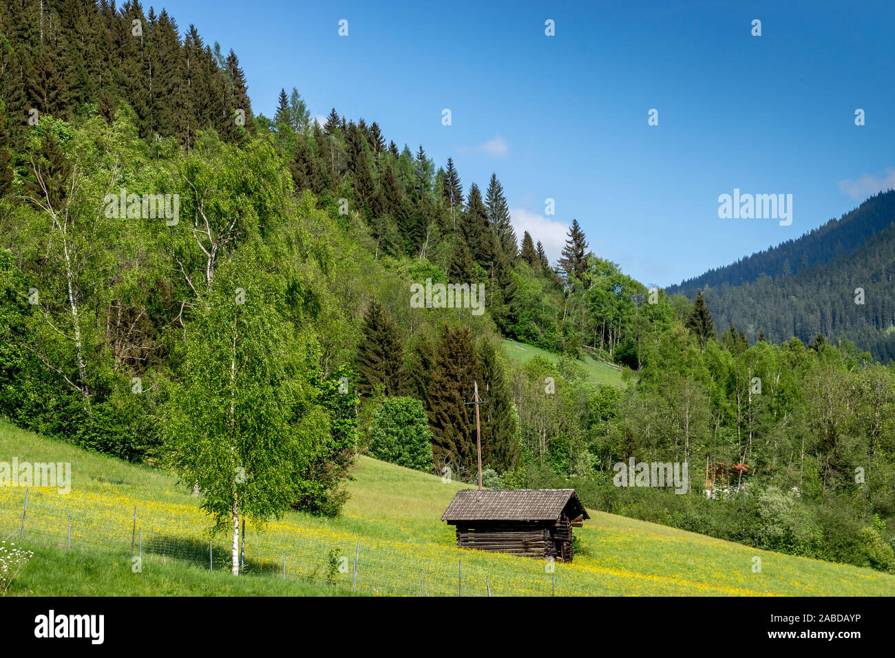 Turracher Höhe, ein Berg in Kärnten, Österreich, ruhiger Lage am Wörthersee. Stockfoto