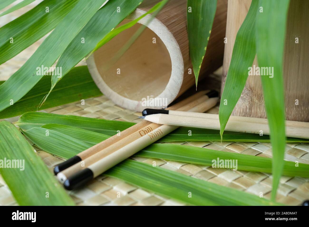 Plantable Bleistifte aus Bambus. Anstelle von einem Radiergummi am Ende, eine biologisch abbaubare Gelatine Kapsel wird mit Samen. Am Ende der penc Stockfoto