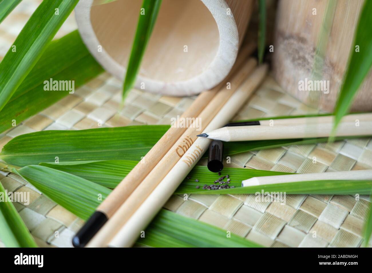 Plantable Bleistifte aus Bambus. Anstelle von einem Radiergummi am Ende, eine biologisch abbaubare Gelatine Kapsel wird mit Samen. Am Ende der penc Stockfoto