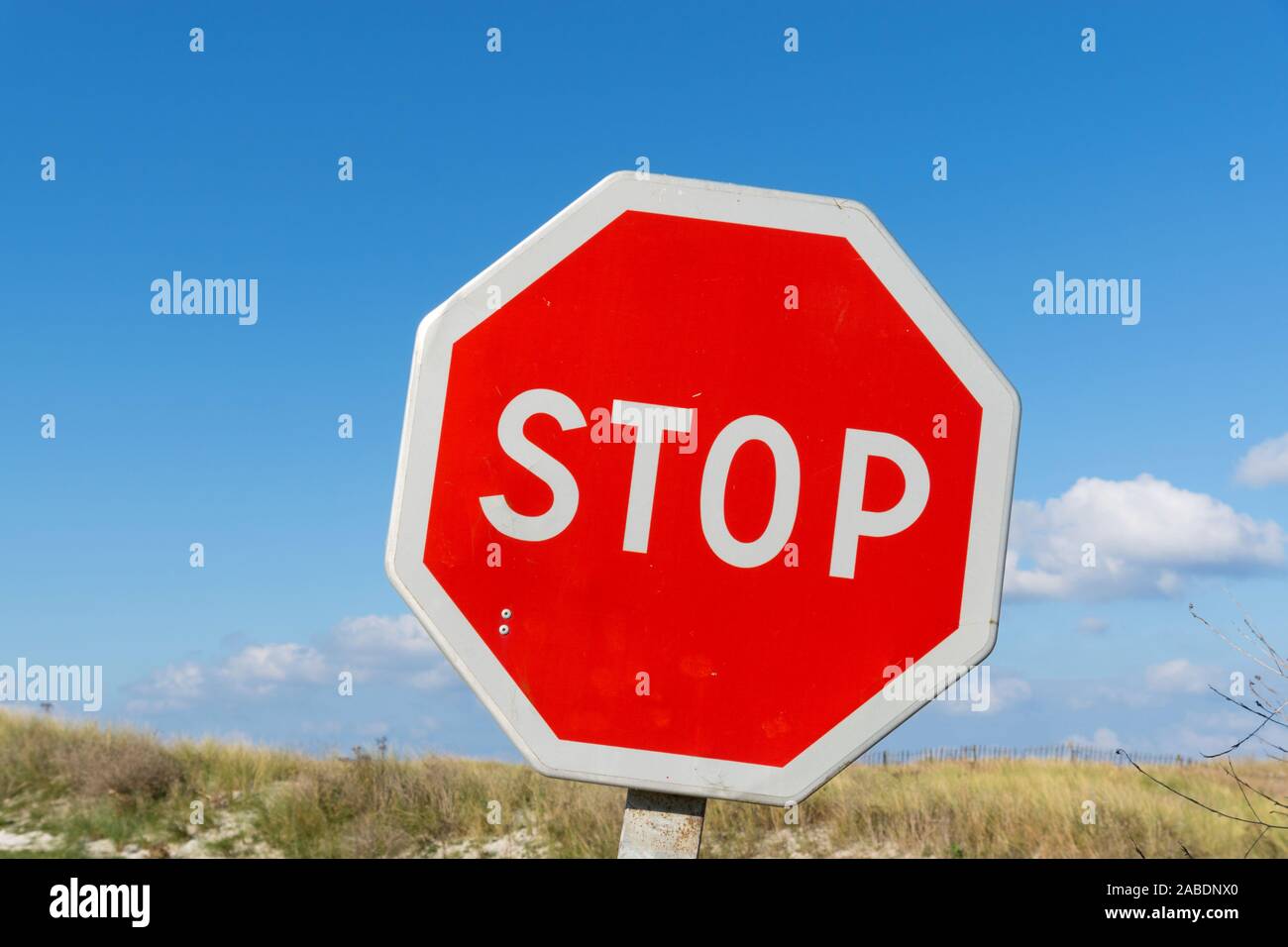 Ein stoppschild auf der Straße Stockfoto