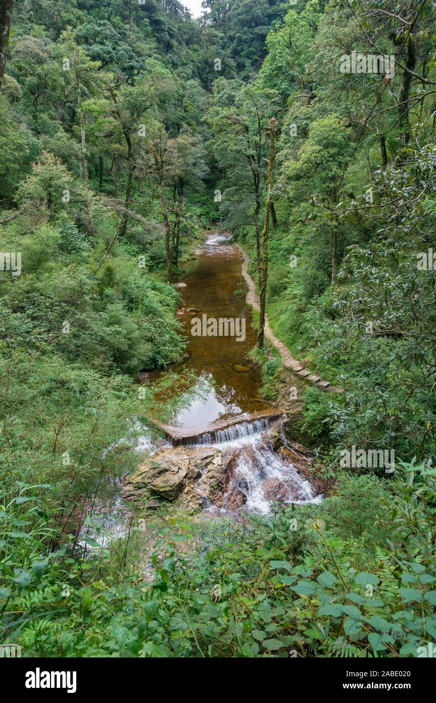 Fluss im Wald. Ansicht von oben, Natur Hintergrund. Golden Stream, Vietnam Stockfoto