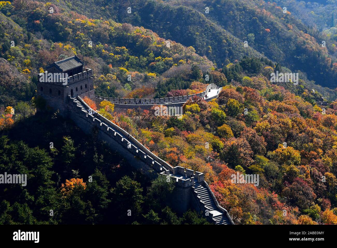 Ein Blick auf die Große Mauer bei Badaling, die Website der am meisten besuchten Abschnitt der Großen Mauer, zwischen Wäldern, deren Blätter rot wie Herbst Drehen Stockfoto