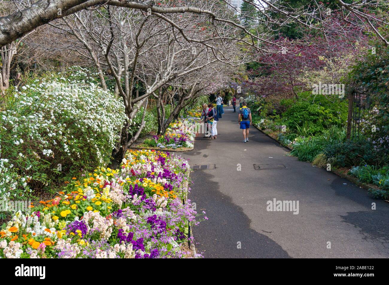 Sydney, Australien - 23. September 2017: Menschen zu Fuß die Feder Gasse in Royal Botanic Garden in Sydney Stockfoto