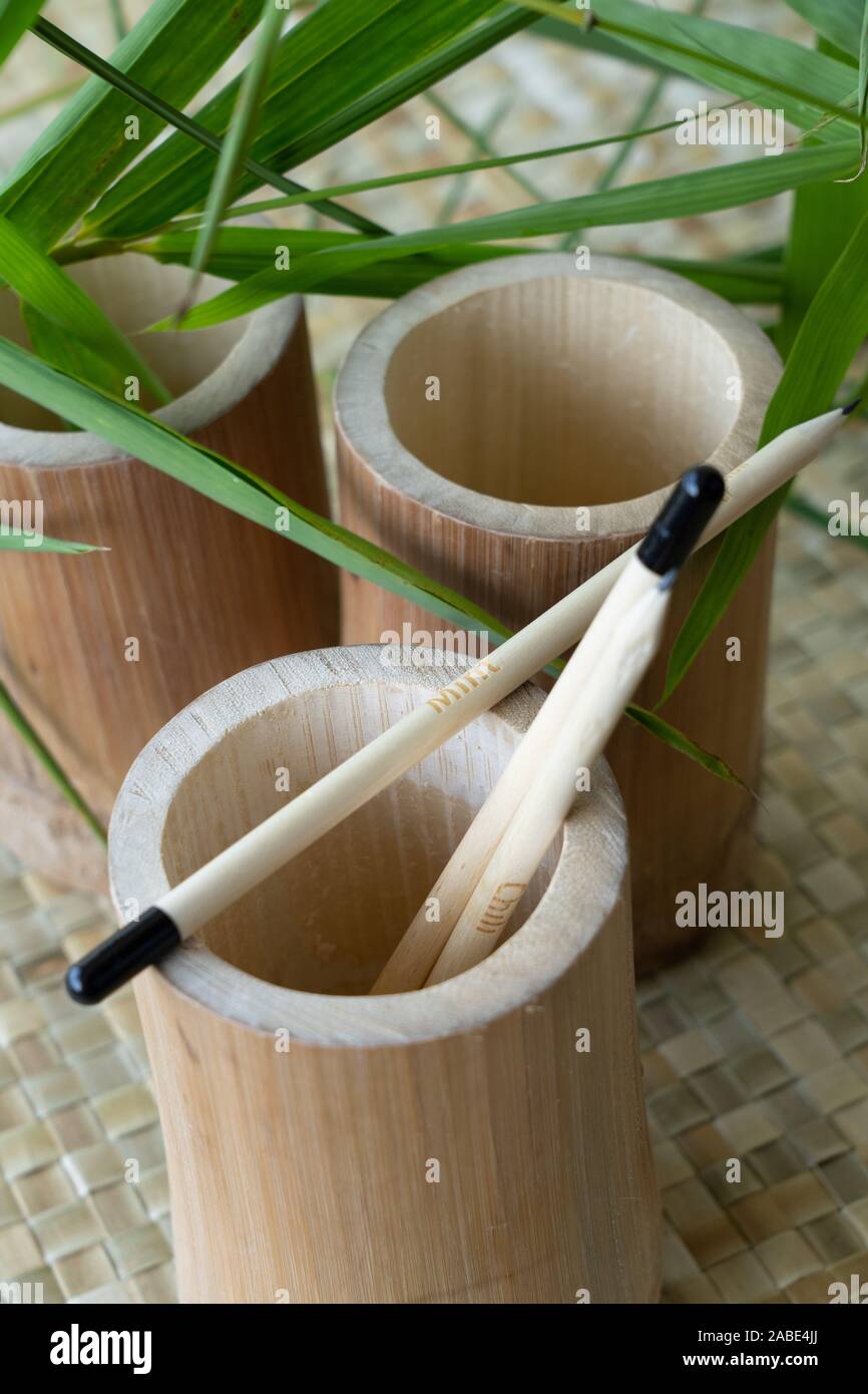 Plantable Bleistifte aus Bambus. Anstelle von einem Radiergummi am Ende, eine biologisch abbaubare Gelatine Kapsel wird mit Samen. Am Ende der penc Stockfoto