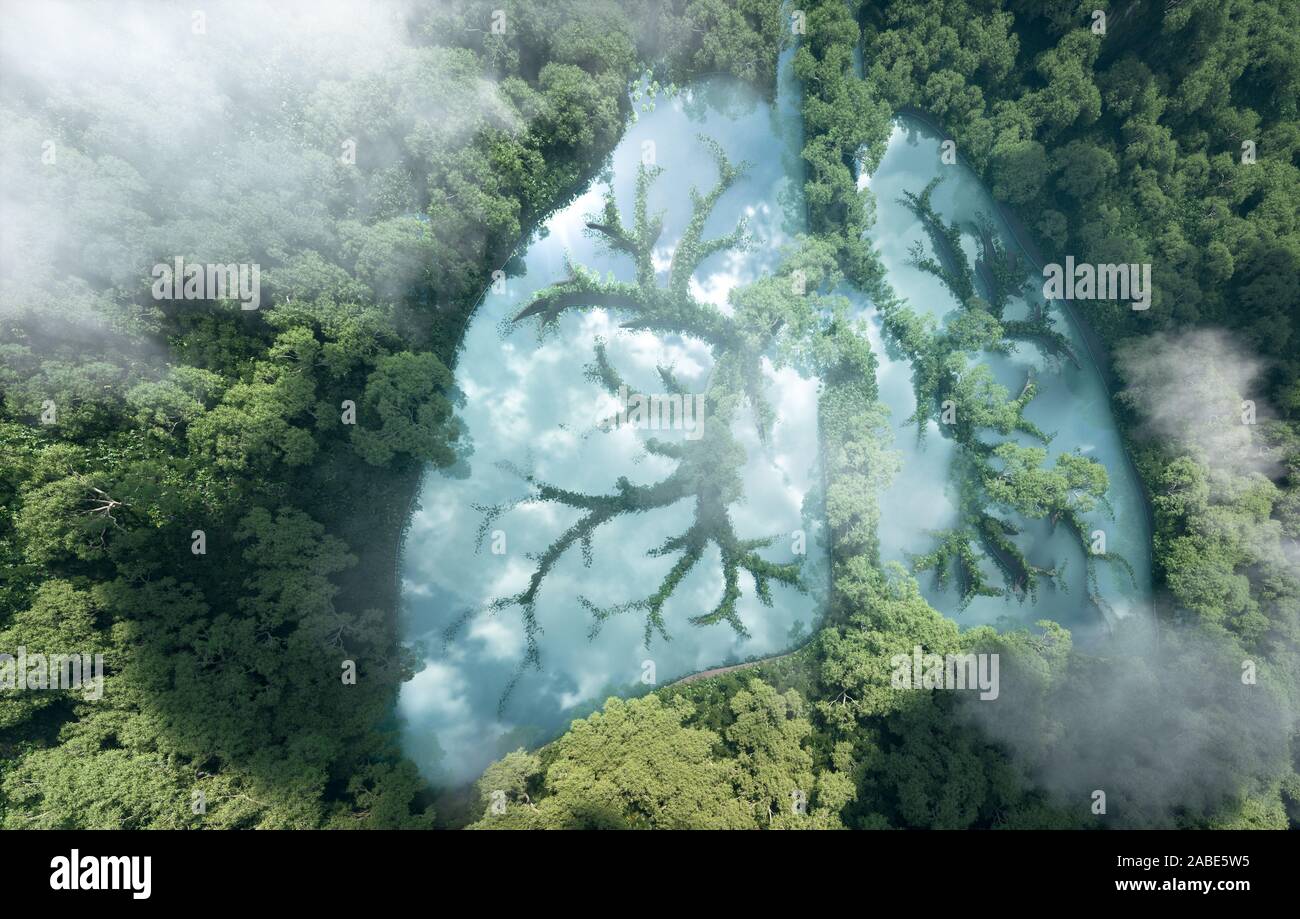 Die grüne Lunge des Planeten Erde. 3D-Rendering von einer sauberen See in einer Form der Lunge mitten im Urwald. Konzept der Natur und Regenwald Protec Stockfoto