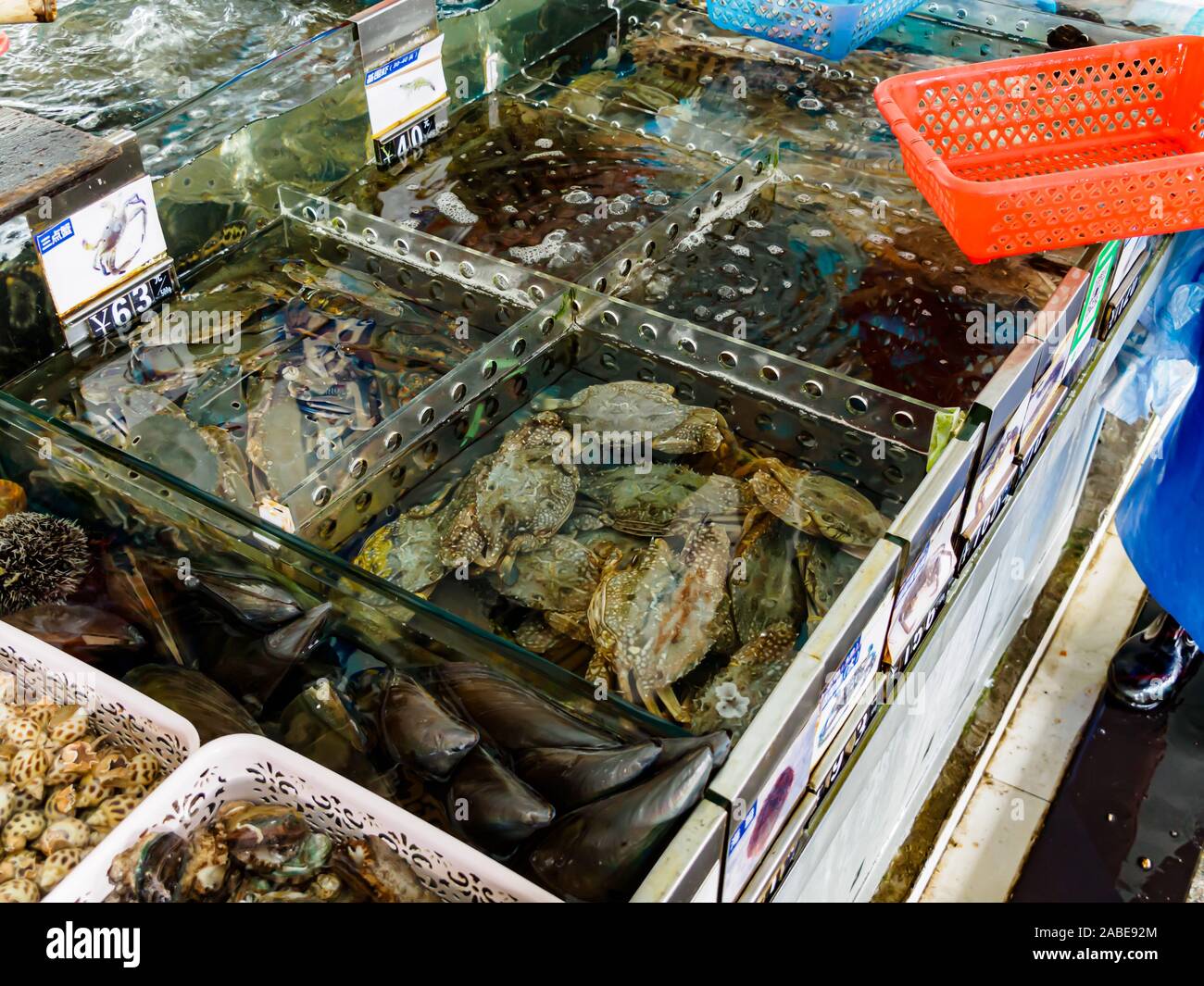 HAINAN, CHINA - 3 Mar 2019 - Tanks mit frischem Leben Meeresfrüchte (Krebse, Muscheln, Schalentiere) für den Verkauf zu einem Fisch Groß- und Einzelhandel Zentrum in Hainan, China Stockfoto