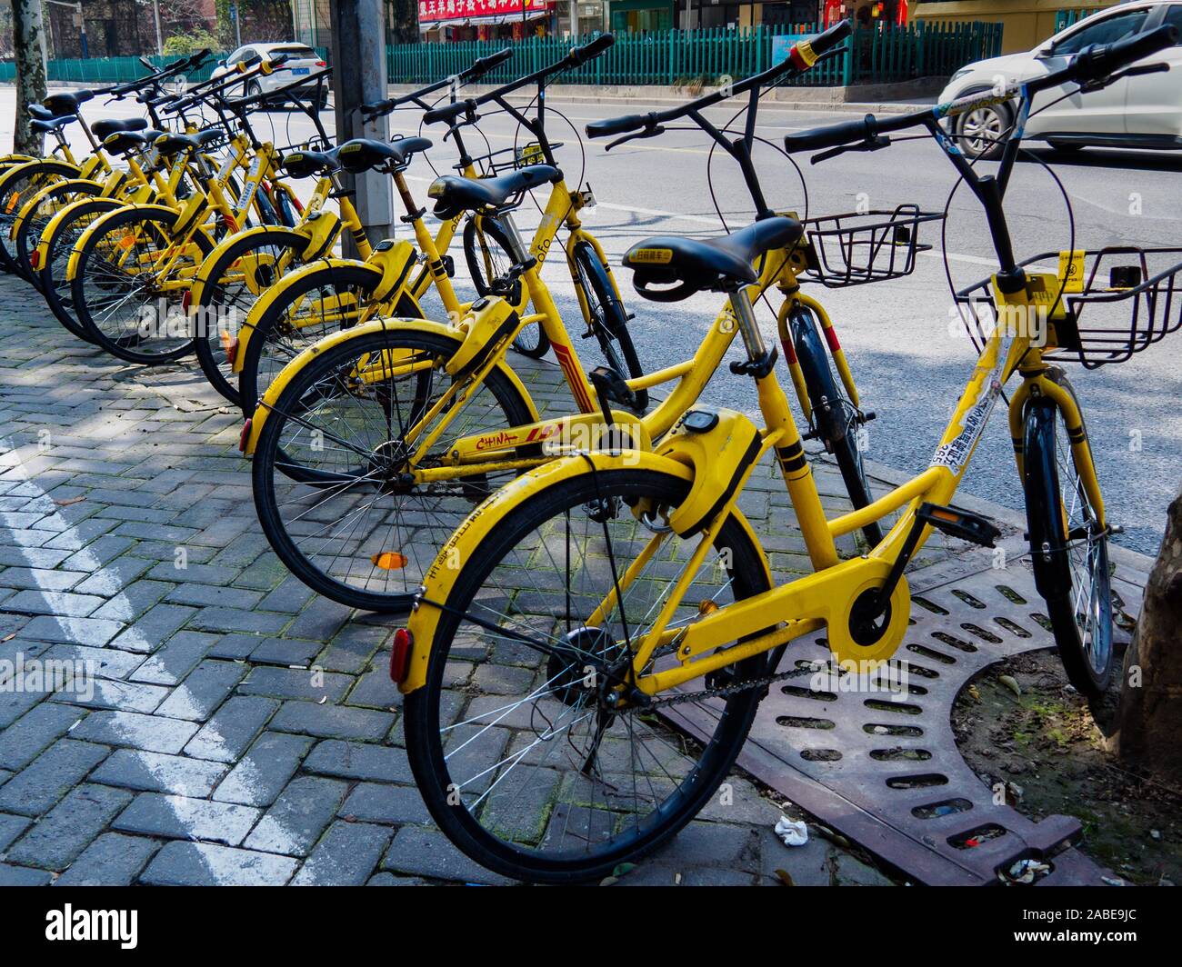 SHANGHAI, China - 11 Mär 2019 - eine Reihe von gelben Ofo Marke Bike Sharing Fahrräder auf einem Gehweg in der Innenstadt von Shanghai. Bike Sharing/Transport Co Stockfoto