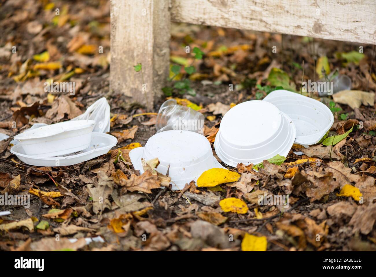 Einwegflaschen aus Plastik Teller, Tassen und Taschen auf dem Boden im Wald. Idee, die Verschmutzung der Natur durch den Menschen, negative Auswirkungen auf die Umwelt. Stockfoto