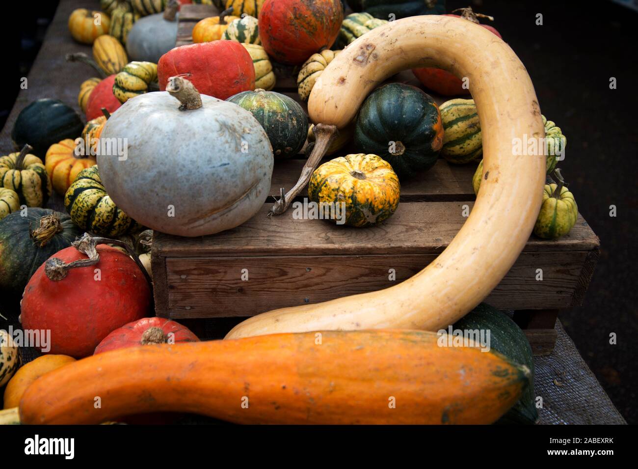 London, November 2019. Victoria Park Bio-markt. Squash auf Verkauf. Stockfoto