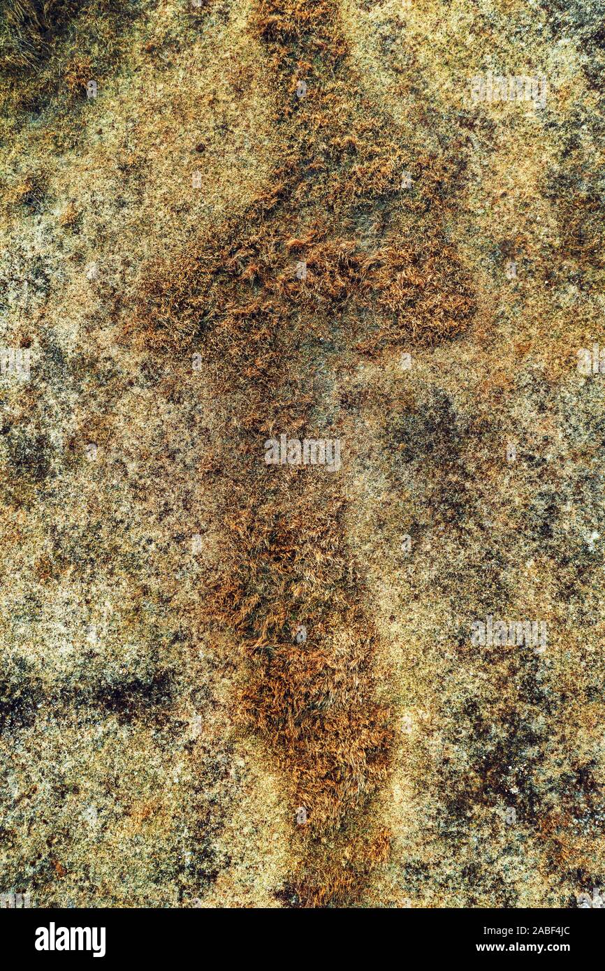 Luftaufnahme von trockenem Gras in der Wiese von Drone pov Stockfoto