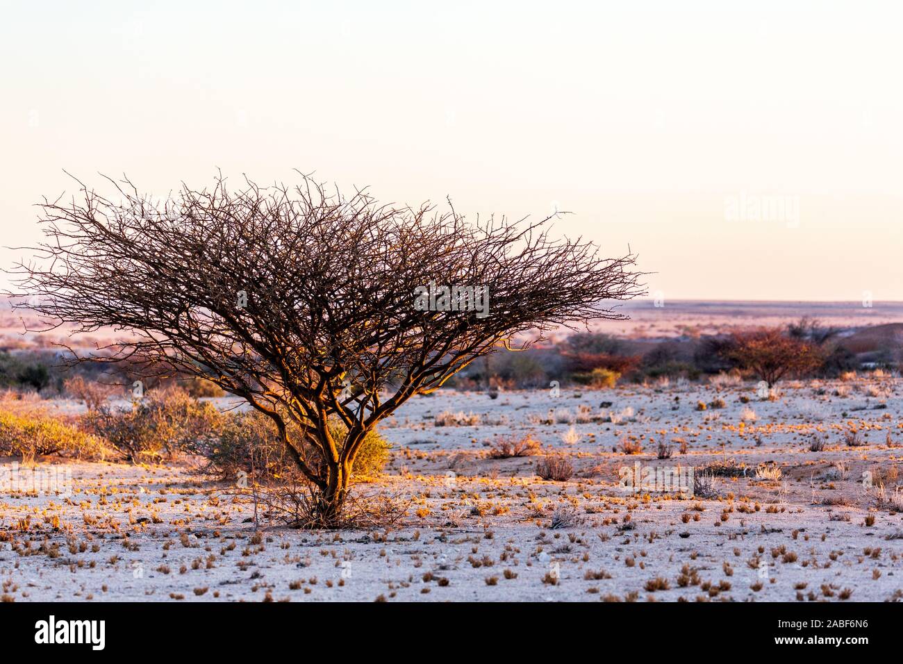 Landschaft von Namibia, Afrika Stockfoto