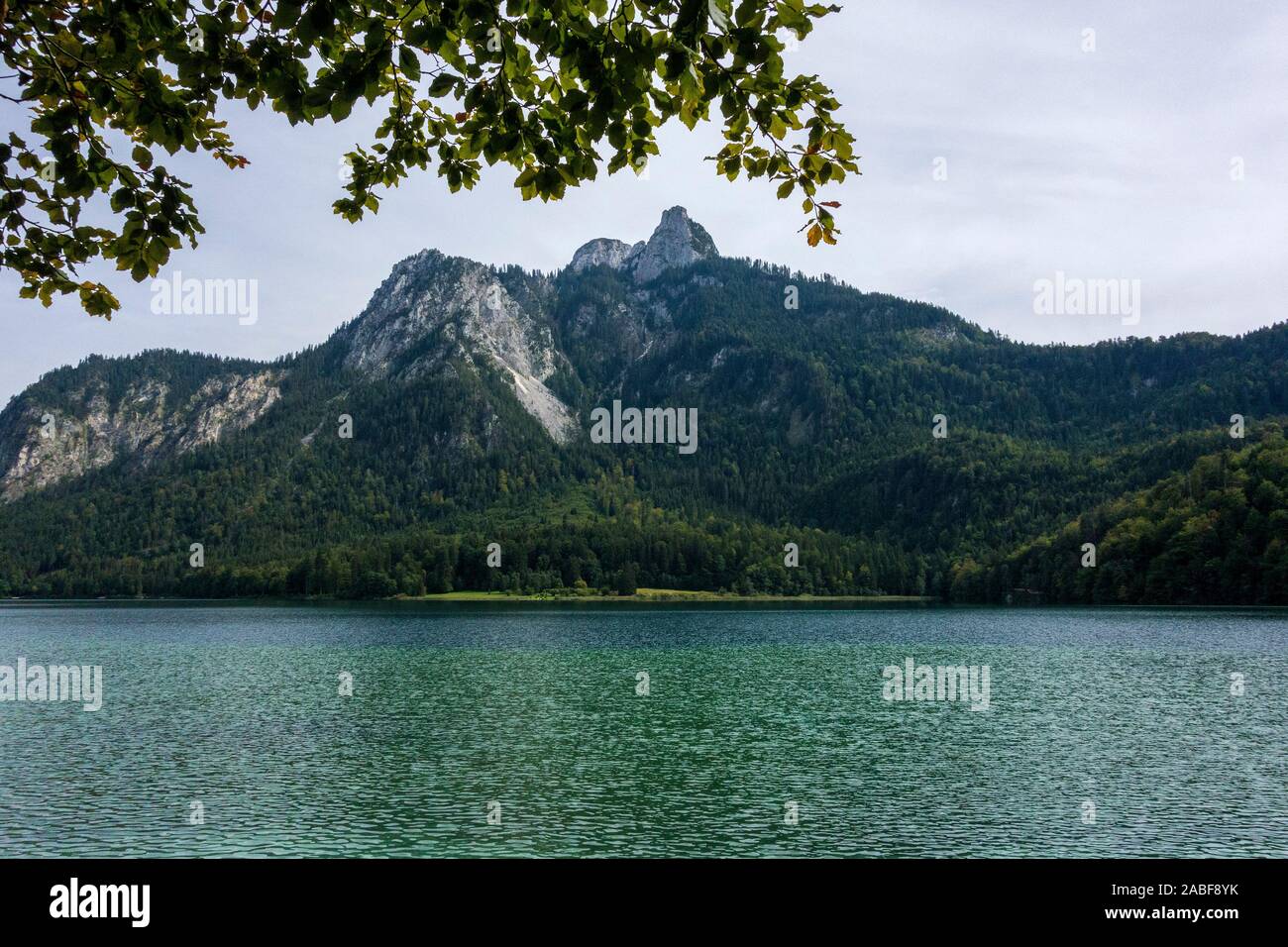 Alpsee in Hohenschwangau, Bayern, Deutschland Stockfoto