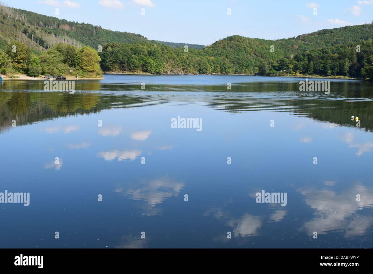 Obersee Rurtalsperren Vorratsbehälter, Nationalpark Eifel Stockfoto