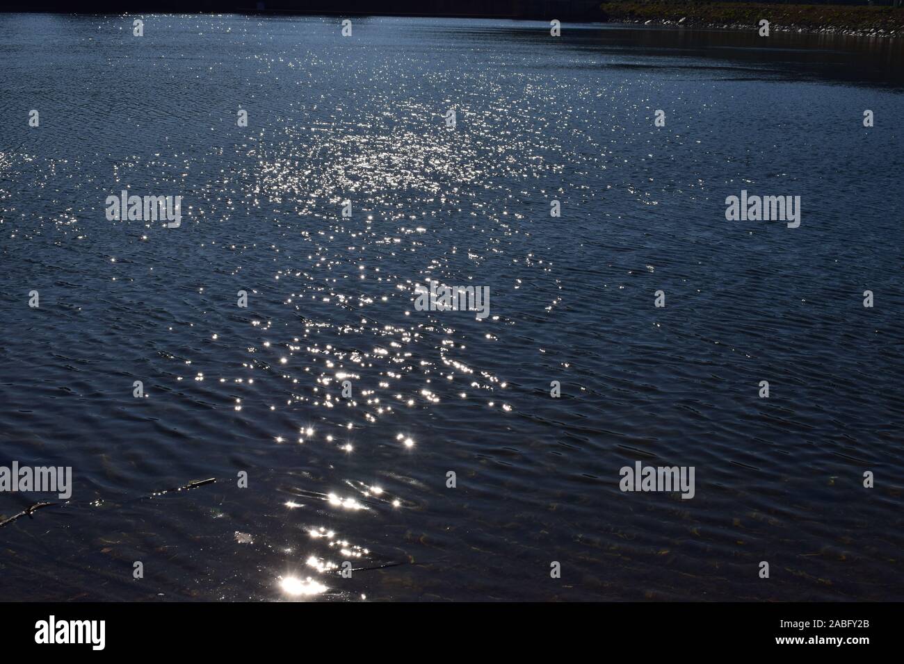 Obersee Rurtalsperren Vorratsbehälter, Nationalpark Eifel Stockfoto