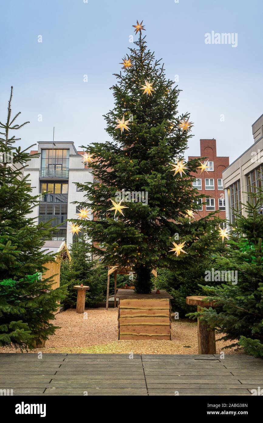 Großen Weihnachtsbaum mit Dekoration von leuchtenden Herrnhuter Sterne und  Lichterketten auf dem traditionellen Weihnachtsmarkt in der Altstadt von  Lübeck in Deutschland Stockfotografie - Alamy