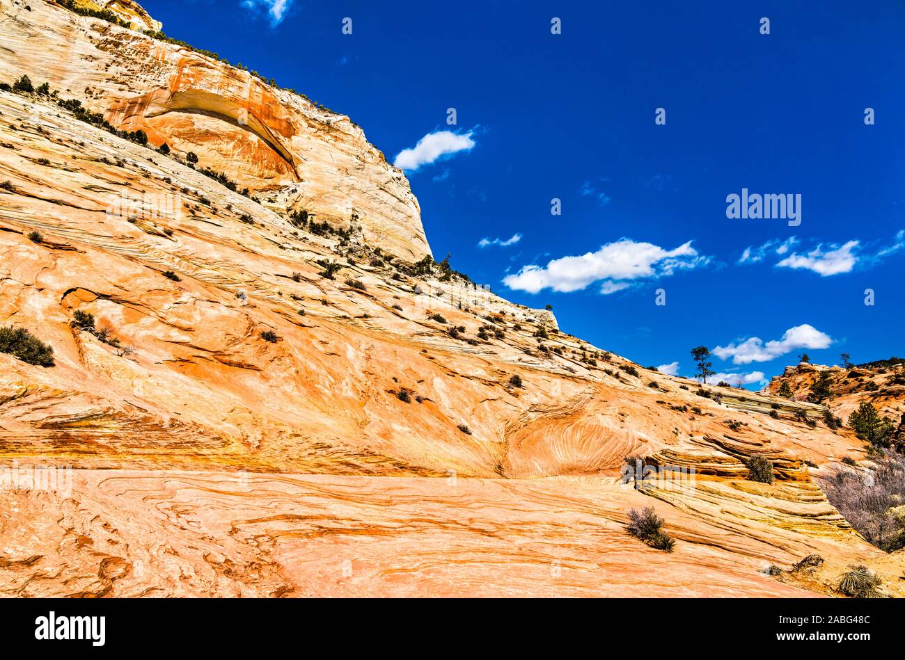 Felsformationen im Zion National Park entlang Pine Creek Stockfoto