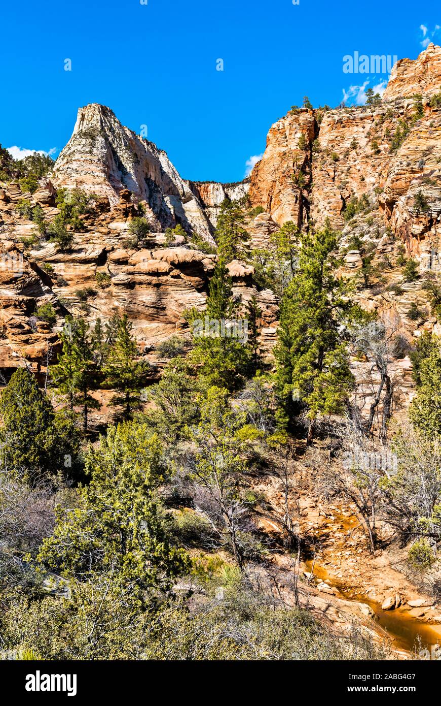 Landschaft von Zion National Park entlang Pine Creek Stockfoto