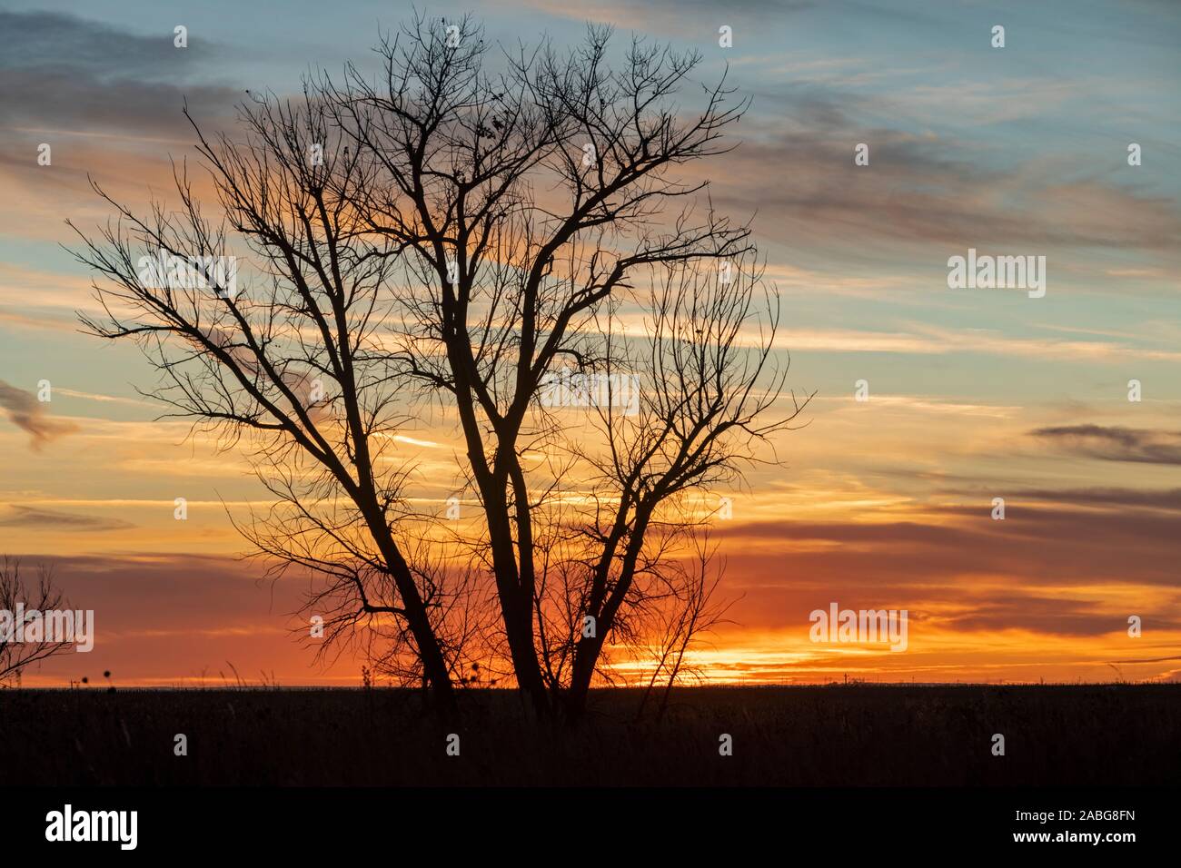 Holyoke, Colorado - ein Sonnenuntergang im östlichen Colorado ranch Land. Stockfoto