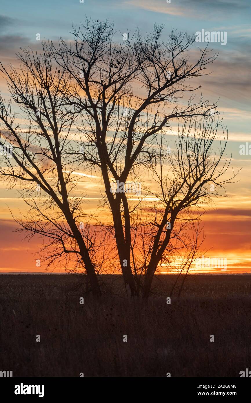 Holyoke, Colorado - ein Sonnenuntergang im östlichen Colorado ranch Land. Stockfoto