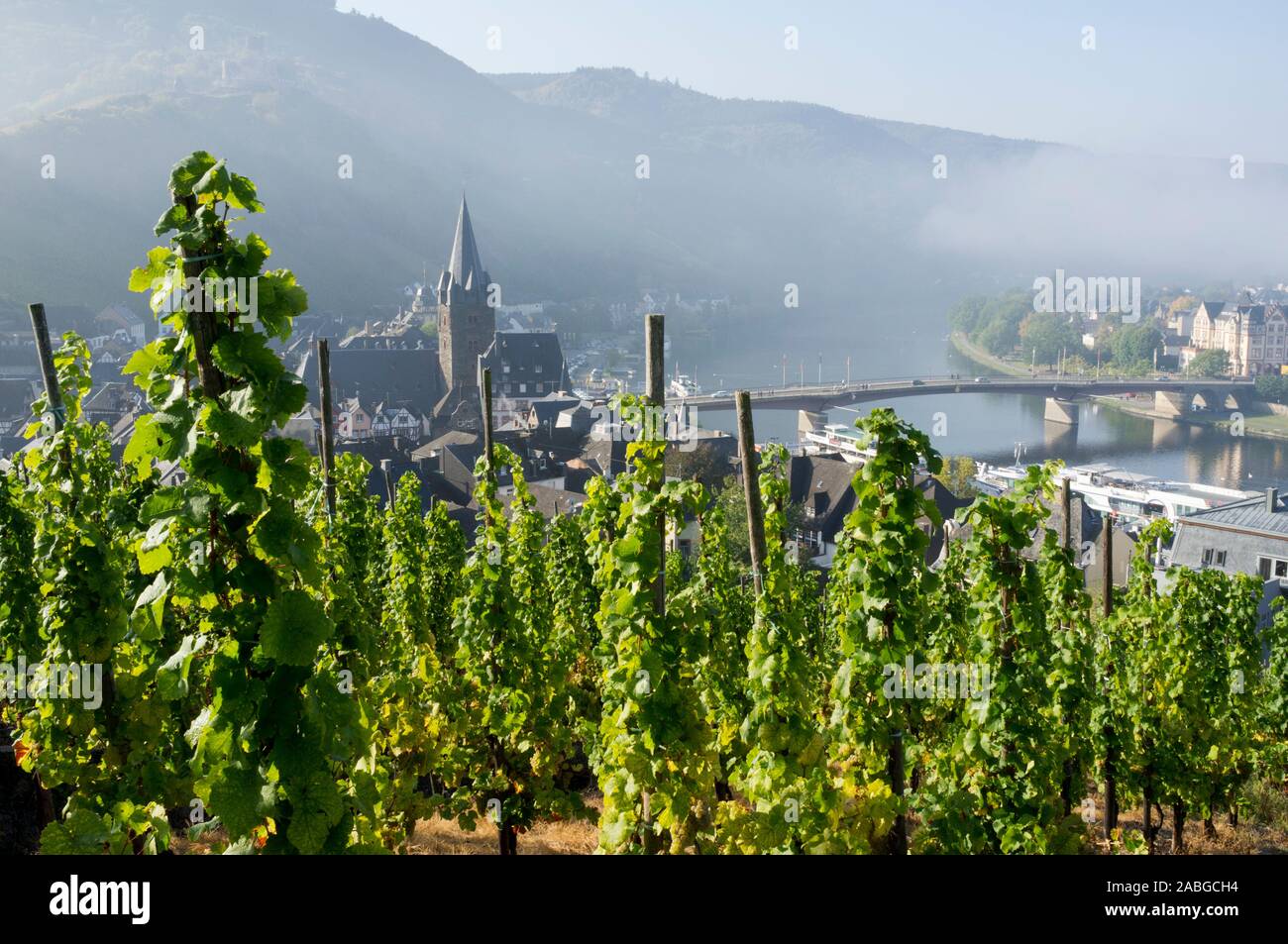 Am frühen Morgen Blick auf Bernkastel-Kues Dorf vom Weingut an der Mosel im Moseltal in Deutschland Stockfoto